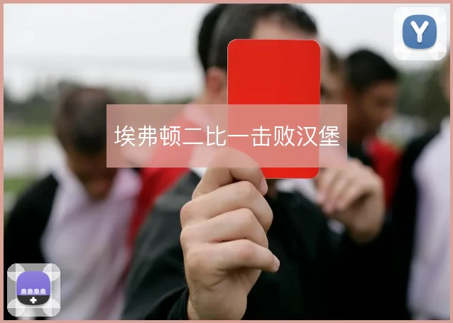 埃弗顿二比一击败汉堡