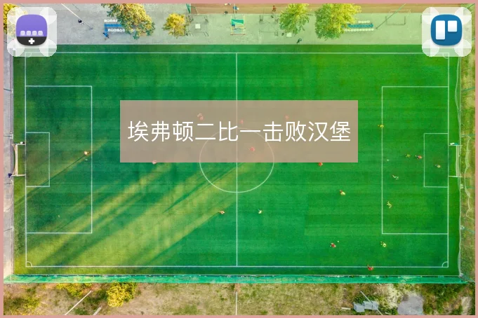 埃弗顿二比一击败汉堡